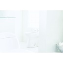 TOTO BT500B03 Piedmont Bidet Vertical Spray 4