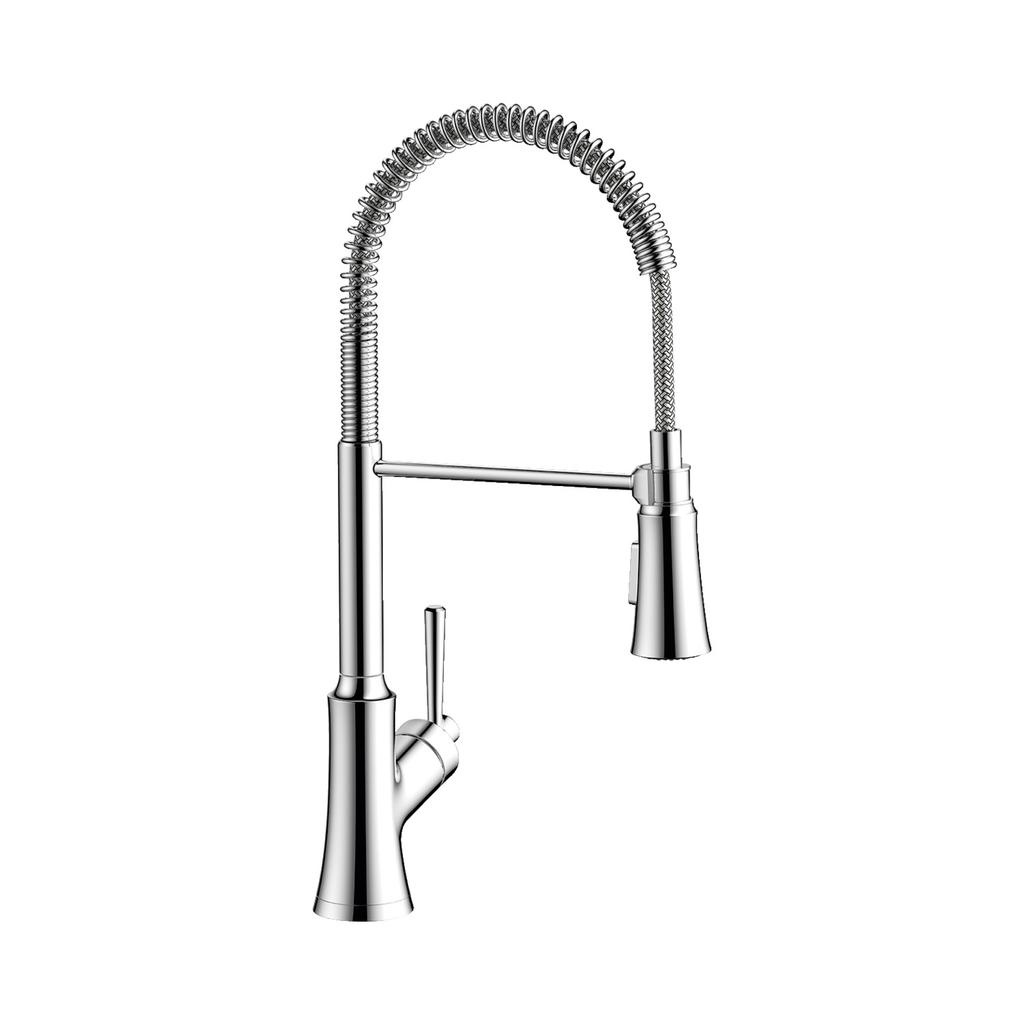 Hansgrohe 04792000 Joleena Semi-Pro Kitchen Faucet 2 Spray Chrome 1