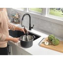 Delta 9110-BL-DST Westville Pull-Down Kitchen 1L