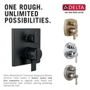 Delta R22000 Multichoice Universal With Integrated Diverter Rough 