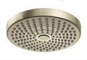 Hansgrohe 04388830 Showerhead 180 2-Jet 1.8 Gpm