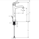 Hansgrohe 04772820 Single-Hole Faucet 230 With Pop-Up Drain 1.2 Gpm