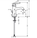 Hansgrohe 04773820 Single-Hole Faucet 100 With Pop-Up Drain 0.5 Gpm