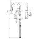 Hansgrohe 04793830 Higharc Kitchen Faucet 2-Spray Pull-Down 1.75 Gpm