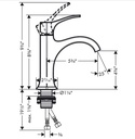 Hansgrohe 04810830 Single-Hole Faucet 110 With Pop-Up Drain 1.2 Gpm