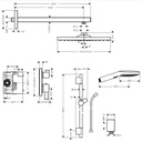 Hansgrohe 04914000 Thermostatic Showerhead/Wallbar Set With Rough 2.0 Gpm