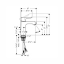 Hansgrohe 31123821 Single-Hole Faucet 110 With Pop-Up Drain 0.5 Gpm