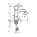 Hansgrohe 31300671 Single-Hole Faucet 110 With Pop-Up Drain 1.2 Gpm