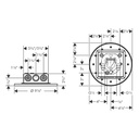 Hansgrohe 35298821 Showerhead 250 2-Jet 2.5 Gpm