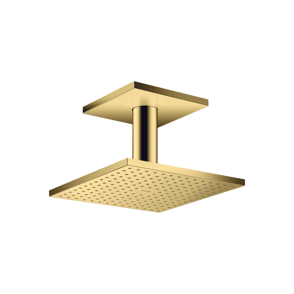 Hansgrohe 35319991 Showerhead 250 Square 2-Jet Ceiling Connection 1.75 Gpm