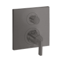 Hansgrohe 39700341 Thermostatic Trim With Volume Control