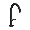 Hansgrohe 48020671 Single Hole Faucet Select 170 1.2 Gpm