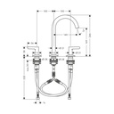Hansgrohe 48050821 Widespread Faucet 170 1.2 Gpm