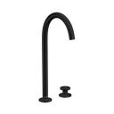 Hansgrohe 48060671 2-Hole Single-Handle Faucet 260 1.2 Gpm