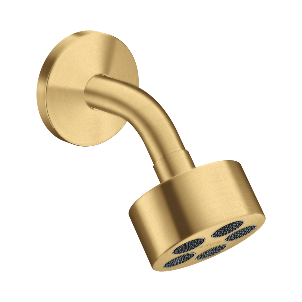 Hansgrohe 48498251 Showerhead 75 1-Jet 2.5 Gpm