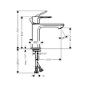 Hansgrohe 72517821 Rebris S Single-Hole Faucet 110 With Pop-Up Drain 1.2 Gpm Brushed Nickel