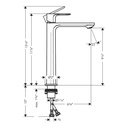 Hansgrohe 72564001 Rebris E Single-Hole Faucet 240 1.2 Gpm