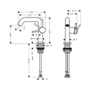 Hansgrohe 73321821 Single-Hole Fine 110 1.2 Gpm