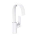Hansgrohe 75030701 Single-Hole Faucet 210 With Swivel Spout And Pop-Up Drain 1