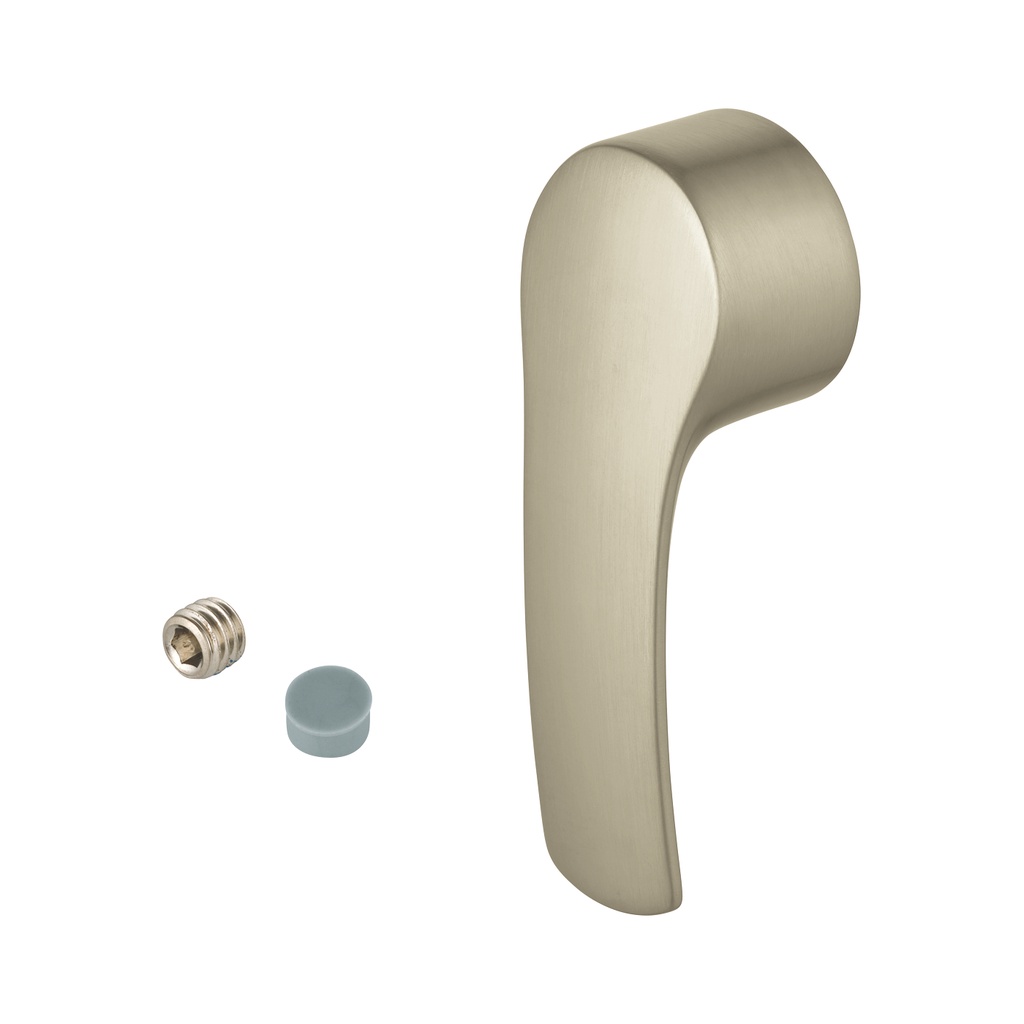 Grohe 48259EN0 Lever