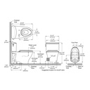 TOTO MS442124CEFG#01 Nexus 2Pc With Ss124 1.28Gpf - Cotton
