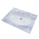 TOTO LT1506G#01 Oval Undercounter Lavatory 20 7/8 X 13 Inch