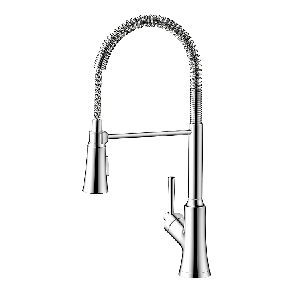 Hansgrohe 04792000 Joleena Semi-Pro Kitchen Faucet 2 Spray Chrome