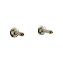 Brizo RP73764 Wall Mount Tub Filler Unions 1
