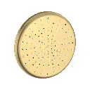 Grohe 26409GN0 Tempesta 210 Shower Head Brushed Cool Sunrise