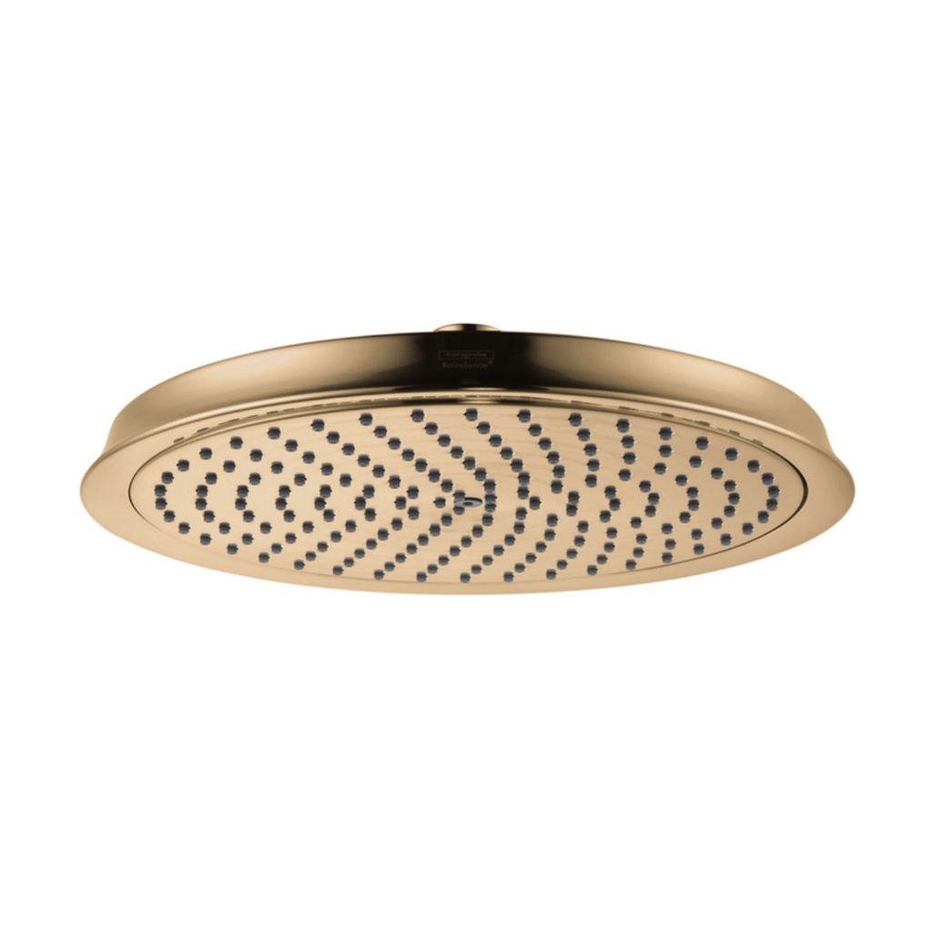 Hansgrohe 26920141 Raindance Classic Showerhead 240 Brushed Bronze
