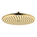Hansgrohe 04824250 Showerhead 240 1 Jet 1.75 Gpm